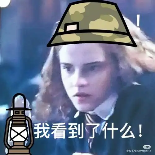 哈利波特 #表情包