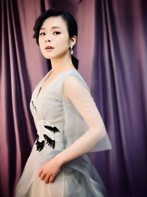 东方卫视当家花旦陈辰:与程雷有过一段情,嫁帅气歌唱家婚姻幸福_手机