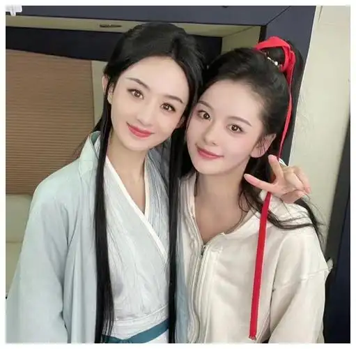 赵丽颖合照遭争议网友质疑长相演技受质疑真相揭秘