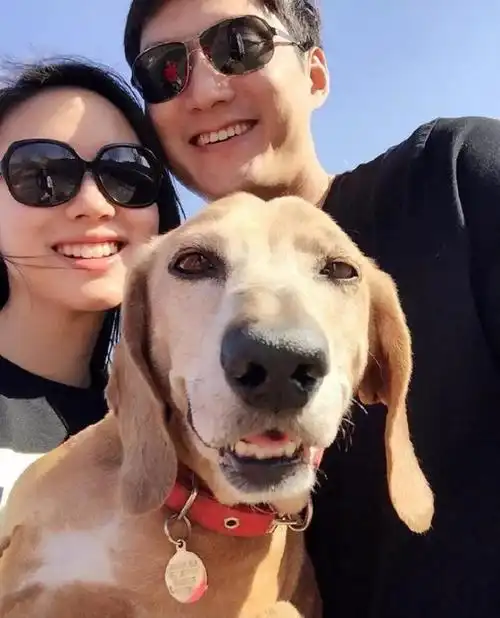 张梓琳老公聂磊世姐张梓琳老公罕见曝光