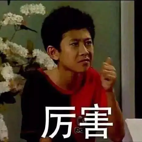 家有儿女 刘星表情包第一波