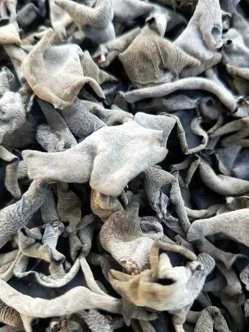 东北黑木耳东北长白山特产干木耳散装黑木耳干货特级野生秋木