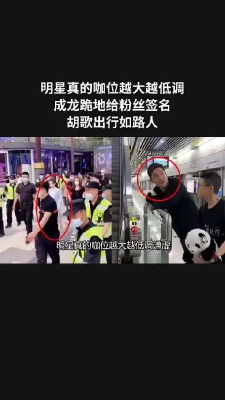 明星真的咖位越大越低调成龙跪地给粉丝签名胡歌出行如路人