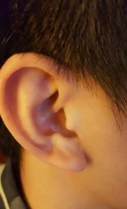 耳朵看相五类耳相福大命大惹不起