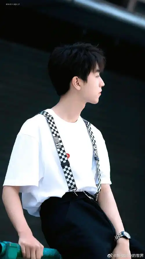 从开始到未来只为王俊凯  喜欢王俊凯是一件超级幸福的事!