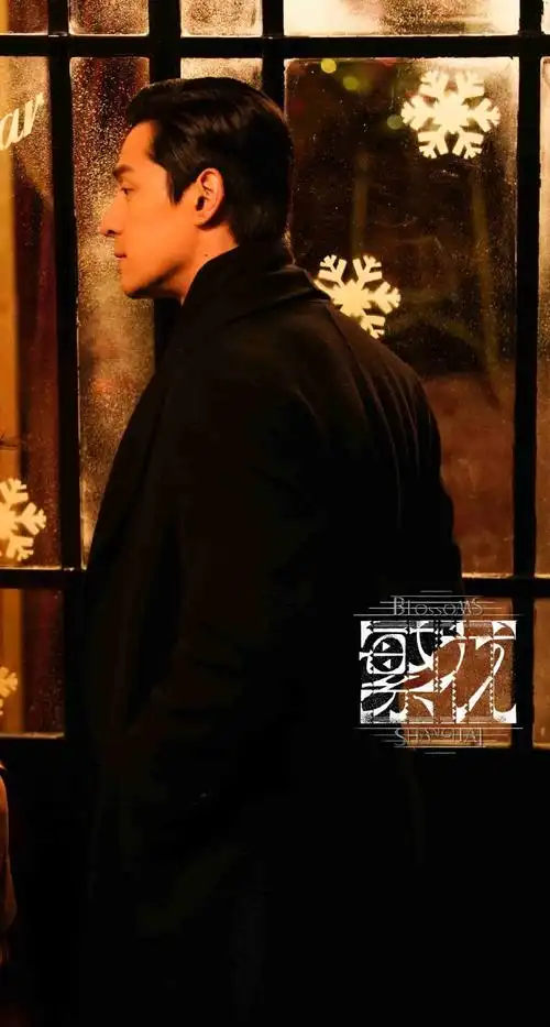 胡歌繁花 背影##繁花宝总的派头和风范##繁花不败