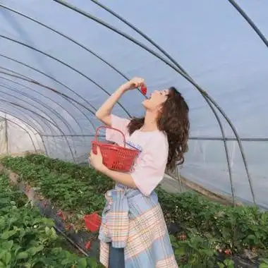 头像女可爱小清新高清好看的可爱小清新女生头像图片