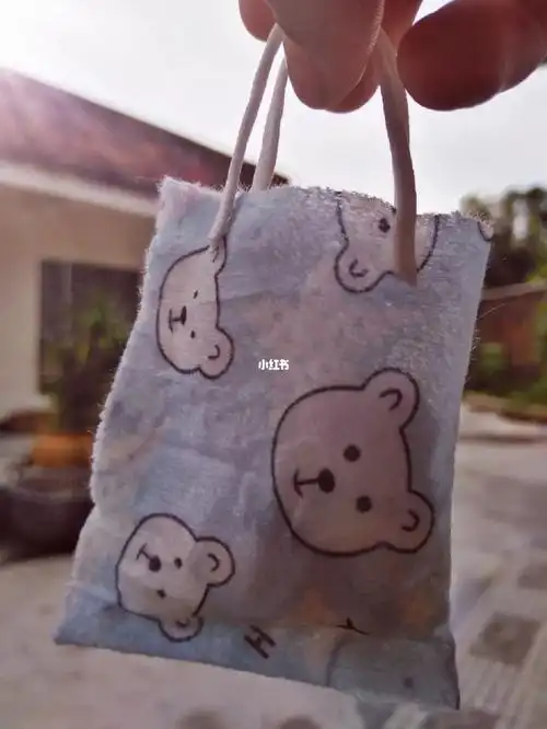 用口罩做的小袋子