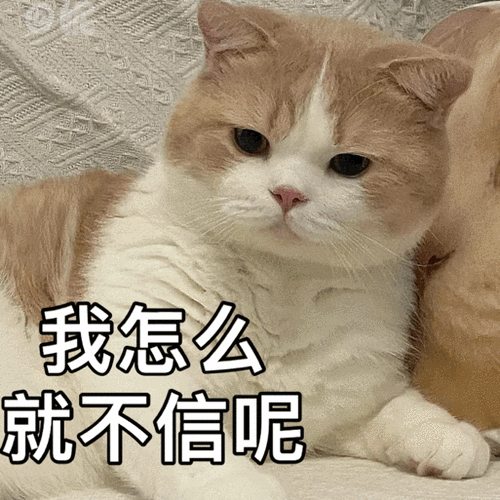 表情包 | 我怎么就不信呢 拿图点赞,吱声