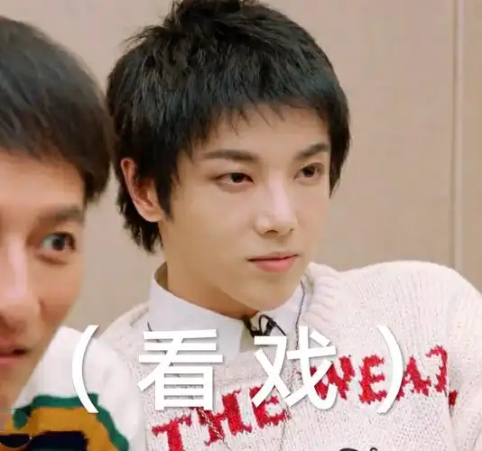 华晨宇表情包多图预警持续更新