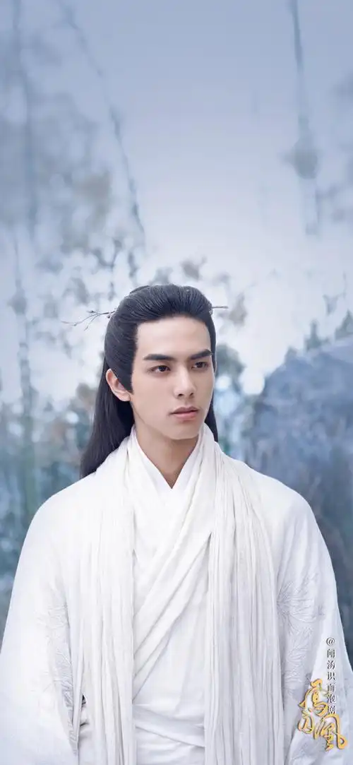 凤囚凰 容止 宋威龙