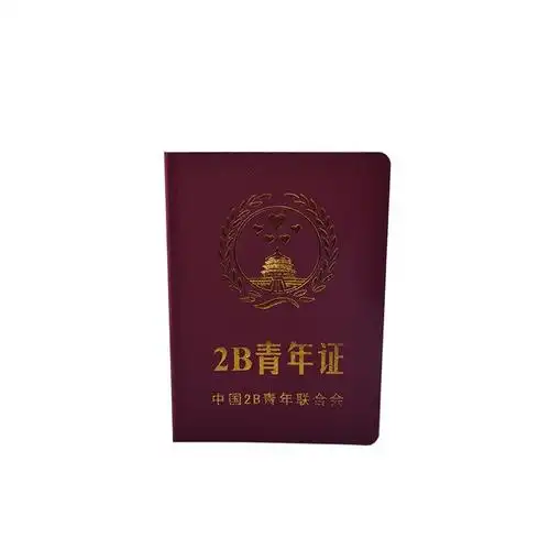 趣味恶搞证件创意个性搞笑证书礼物2b青年证