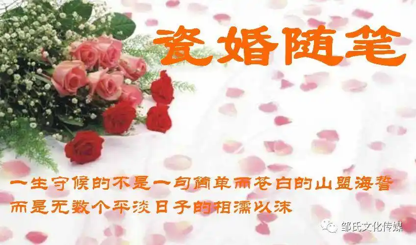 情感散文瓷婚随笔