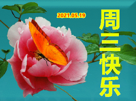 2021年5月26日星期三清晨早上好问候祝福动态表情图片 周三最新早安