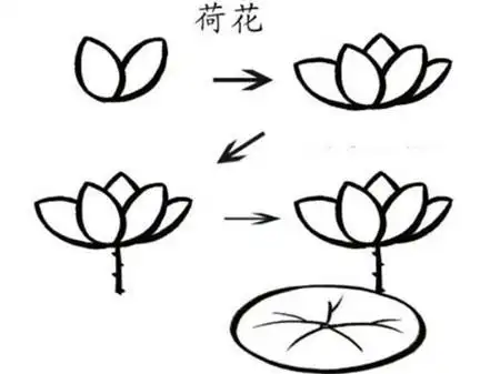 荷花骨朵简笔画颜色