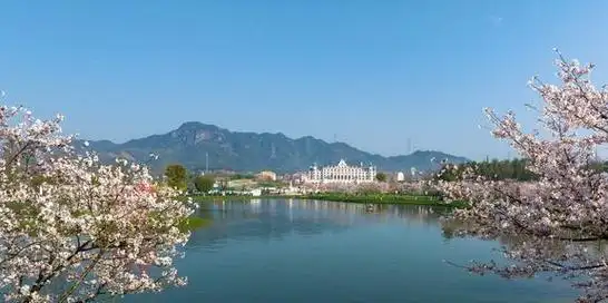 网易首页>网易号>正文申请入驻> 浙江金华武义花田美地的春花烂漫,美