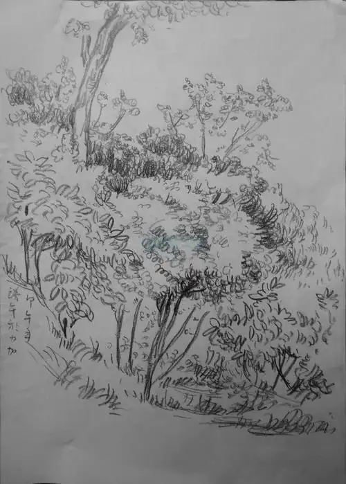 彩岸画室2014年风景速写高清原作——《树丛之二》