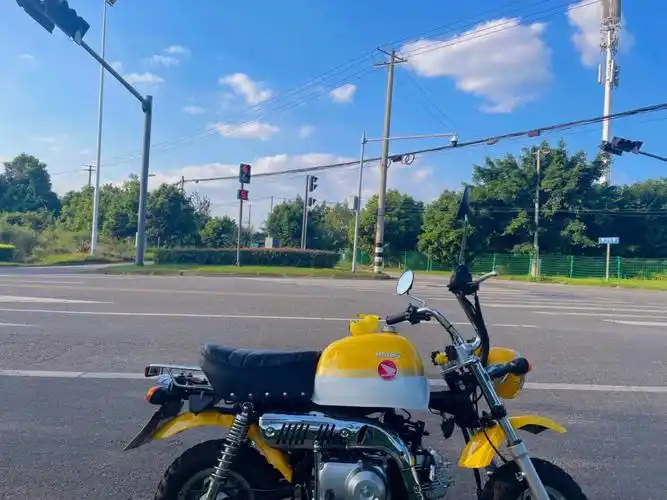 金城金童|金城小猴子|摩托车9315