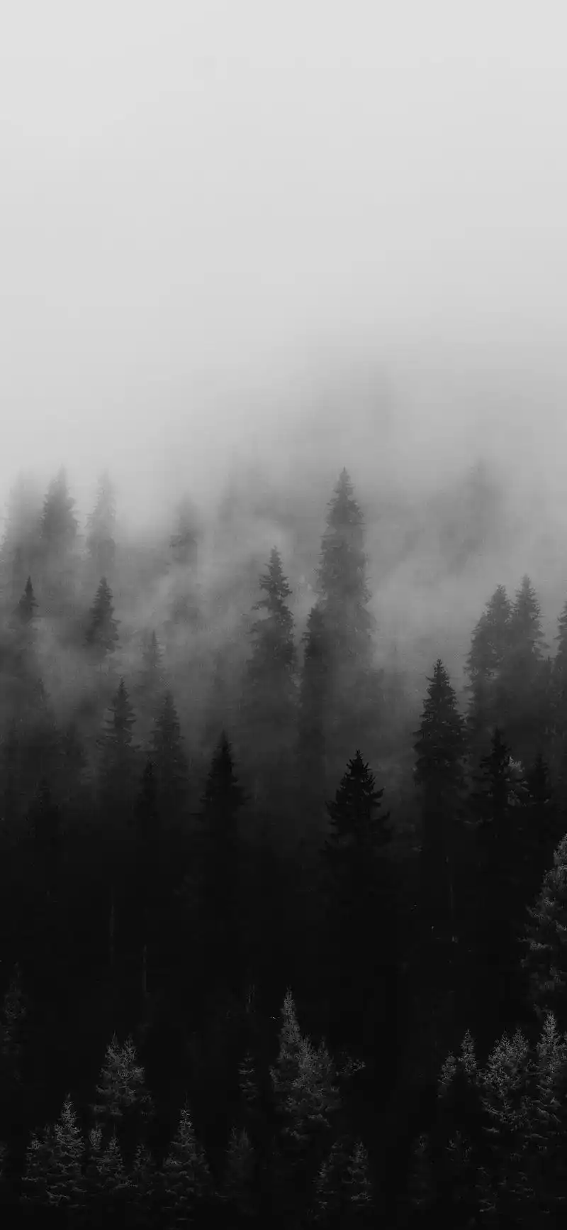 送你一组简约干净的黑白壁纸