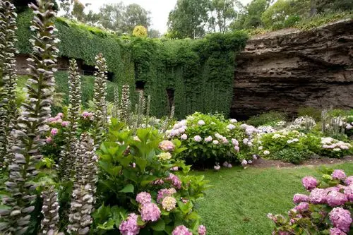 澳大利亚洞穴花园这简直是爱丽丝梦游仙境呀