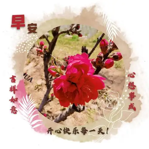 我精心制作的早上好,希望大家能够喜欢! - 美篇