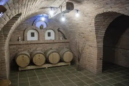 白酒酒窖侍酒师男,德格斯塔人,酒厂,男酿酒师.瓶子, 红酒杯.