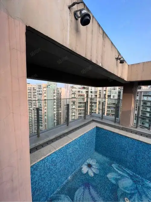 【10图】新鸿基 大平层带私人泳池 正经豪装房 现房超惊艳,新鸿基悦城