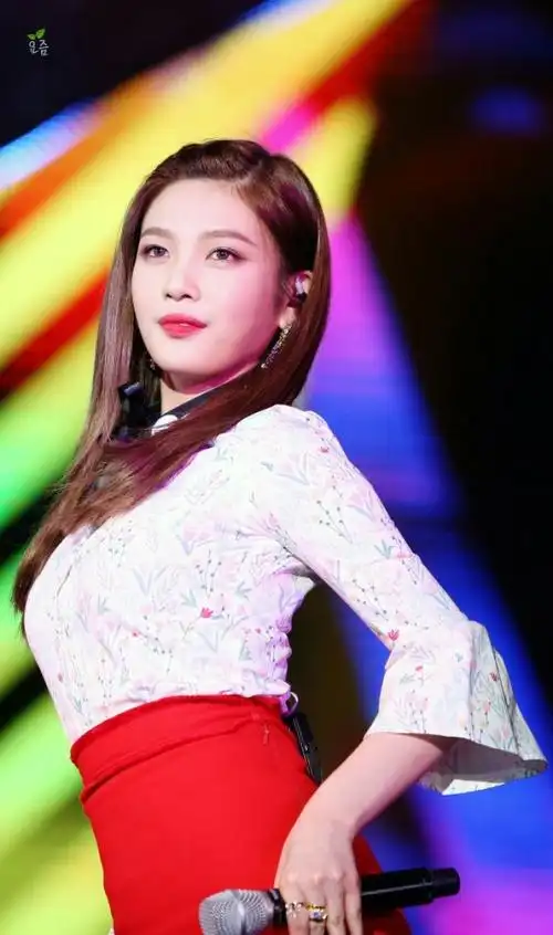 red velvet 朴秀荣(joy)