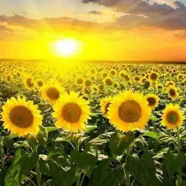 微信头像女阳光明媚的 女生头像图片大全 -【爱个性】