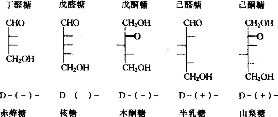 不能水解为更小分子的糖类称为单糖.如葡萄糖,果糖等.