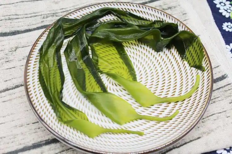 海带苗小5斤新鲜嫩特级霞浦薄海带芽非干货裙带火锅食材配菜