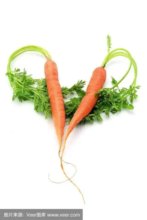 胡萝卜,心型,垂直画幅,无人,生食