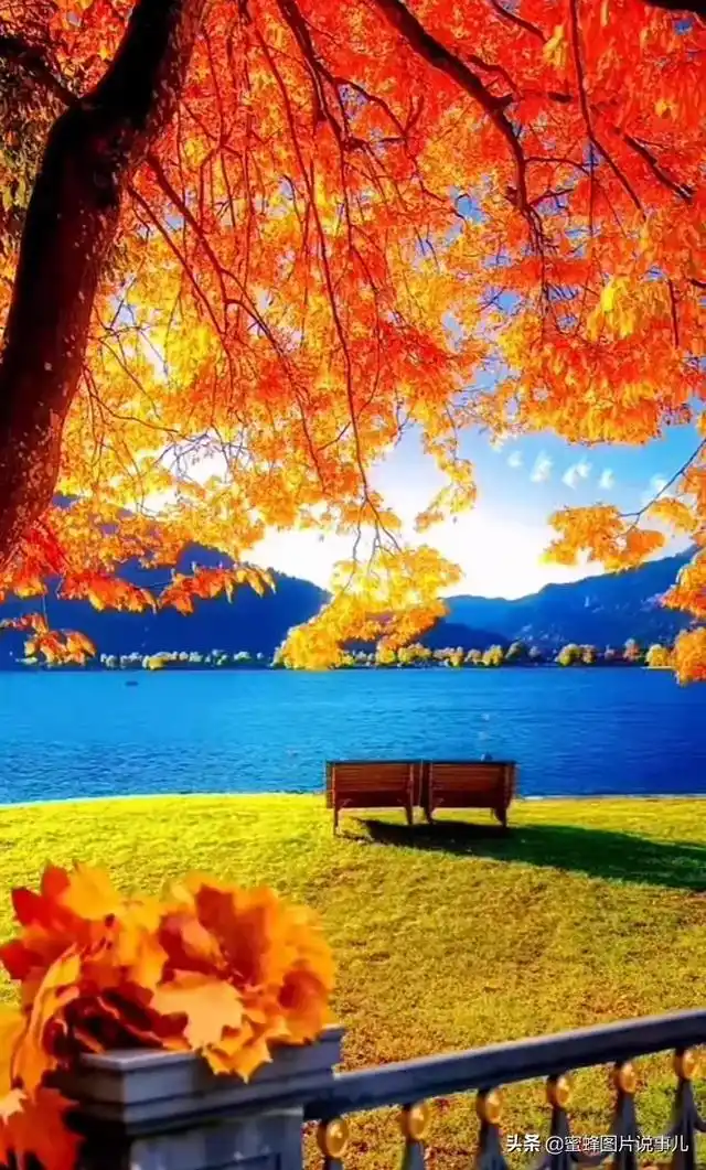 大自然春天美景图片超高清大自然风景山水