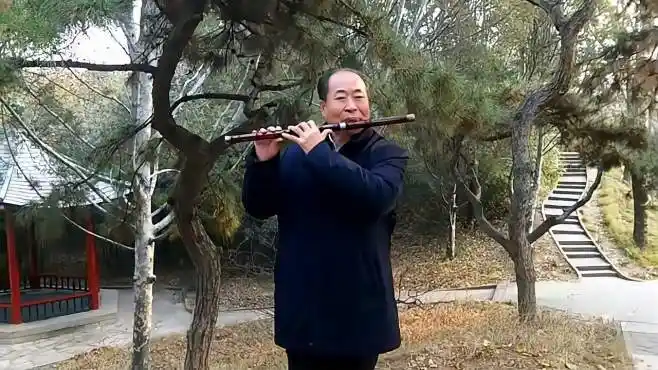 王研笛子独奏《我的祖国》