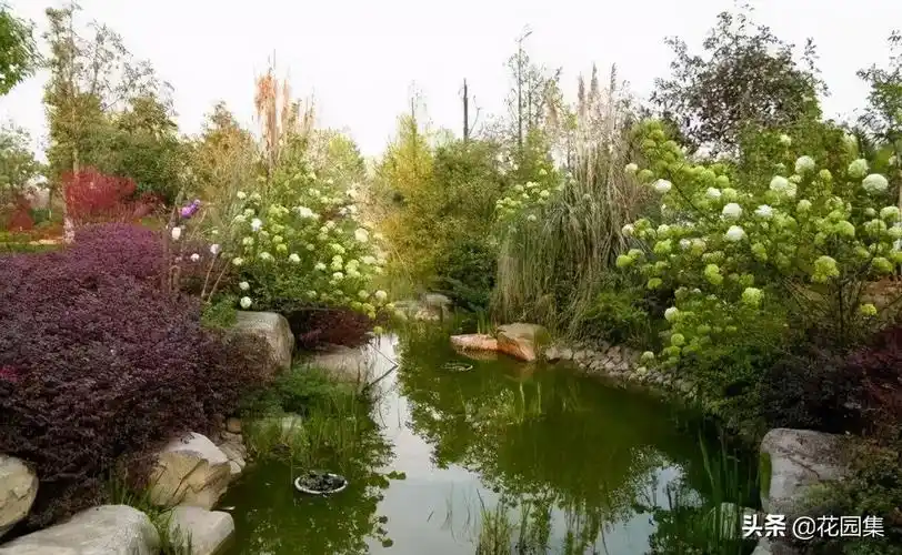 庭院水景的设计需根据动态水和静态水,以及水景的具体形式来具体确定.