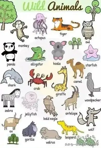 长颈鹿用英语怎么说,giraffes(史上超全动物英文名称汇总及配图)