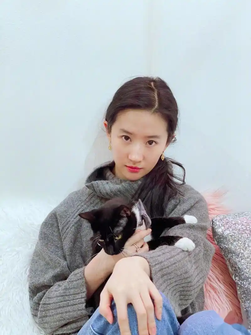 原创刘亦菲晒生活照素颜出镜引热议网友调侃什么丑照都敢发