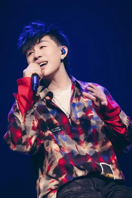 胡彦斌2024是一场烟火巡回演唱会