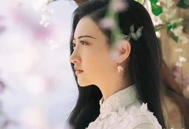 《暴风眼》,《寂寞空庭春欲晚》等等,而且张彬彬的气质和颜值和景甜