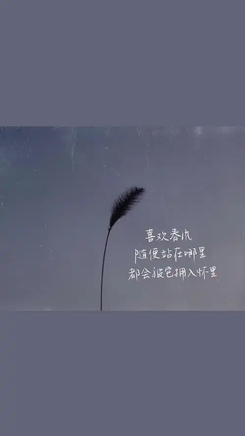 唯美意境文字语录图片手机壁纸