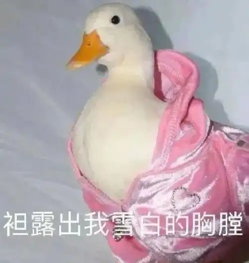 沙雕表情包,图片极度舒适!