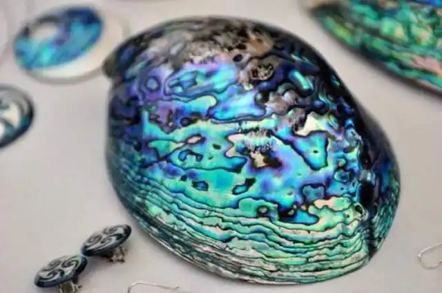 螺钿工艺彩色贝壳的专属惊艳