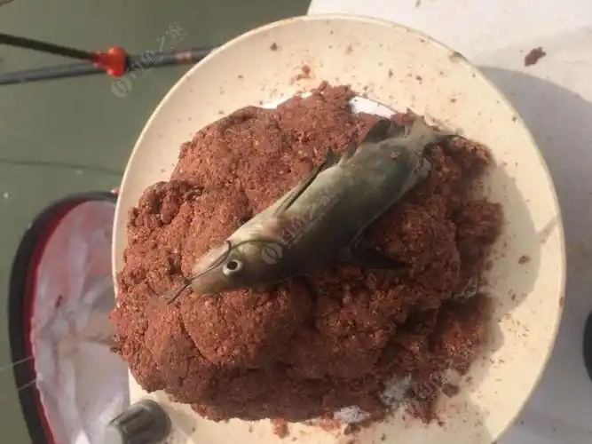 南沙第一次钓到这种鱼,求大师们鉴定一下是黄骨还是暗丁