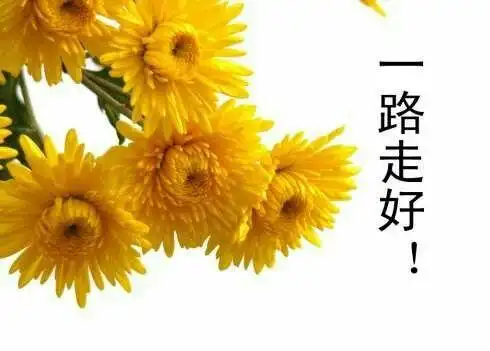 父亲是得了脑出血后三年多离世,在他患病的日子里一直是我妈照顾着.