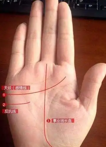 四种手相的女人婚后生活不幸克夫