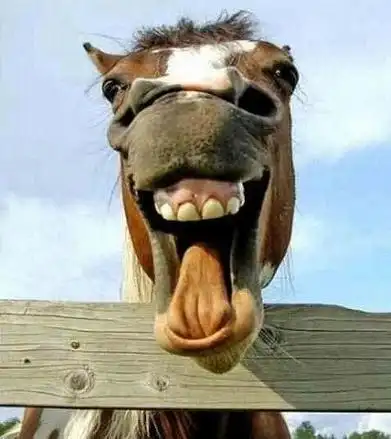 一秒笑喷的笑话,一秒笑喷的笑话 - 冷求网