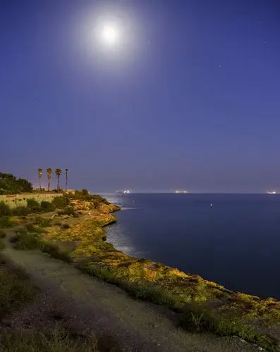 夜色正浓(新手)