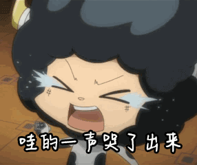 少女与战车哇的一声哭了出来gif动图_动态图_表情包下载_soogif