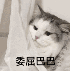 猫咪表情包委屈巴巴