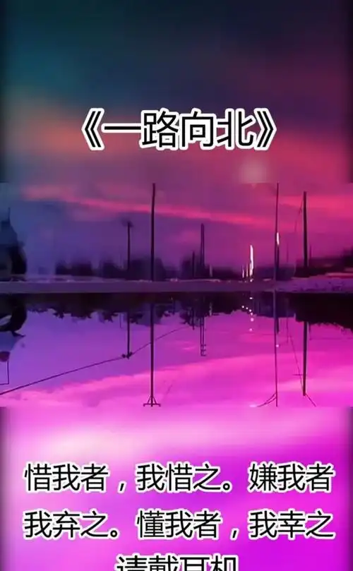 冷漠歌曲一路向北唱的太伤感如此走心的歌词感动了多少人